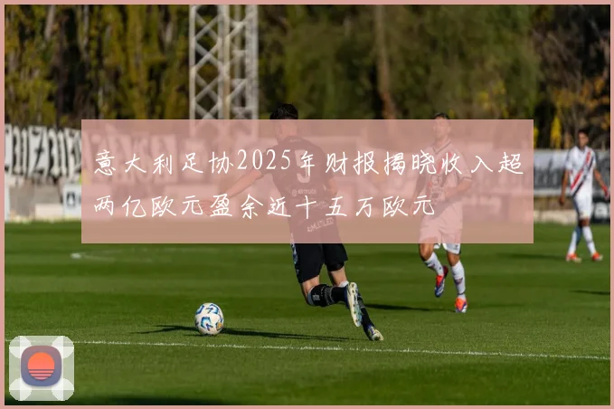 意大利足协2025年财报揭晓收入超两亿欧元盈余近十五万欧元