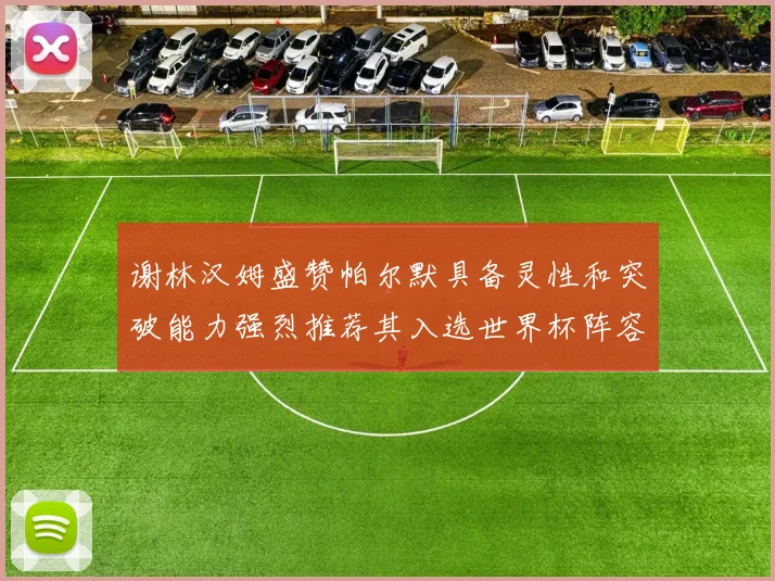谢林汉姆盛赞帕尔默具备灵性和突破能力强烈推荐其入选世界杯阵容