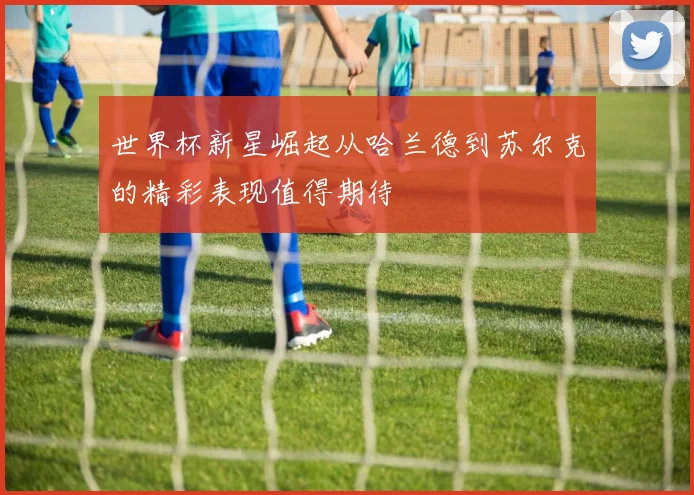 世界杯新星崛起从哈兰德到苏尔克的精彩表现值得期待