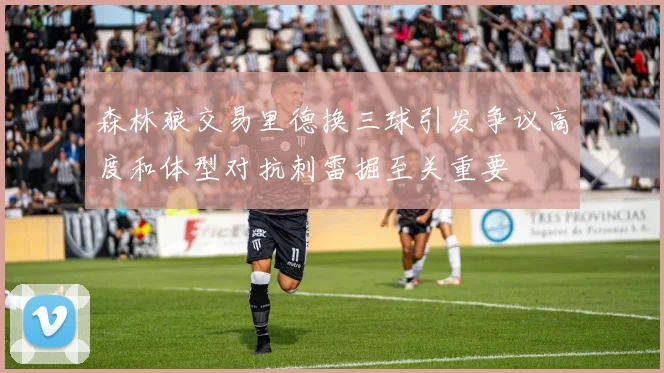 森林狼交易里德换三球引发争议高度和体型对抗刺雷掘至关重要