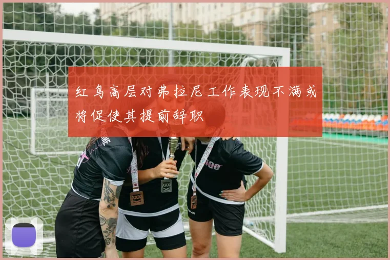 红鸟高层对弗拉尼工作表现不满或将促使其提前辞职
